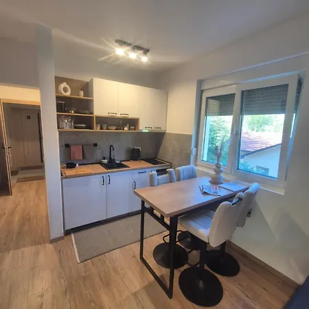 Apartment Dara Vrnjacka Banja